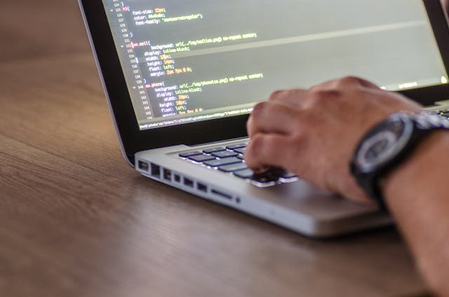 Freelance Web Developer