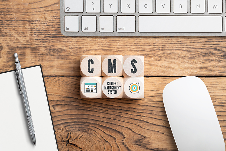 Headless CMS