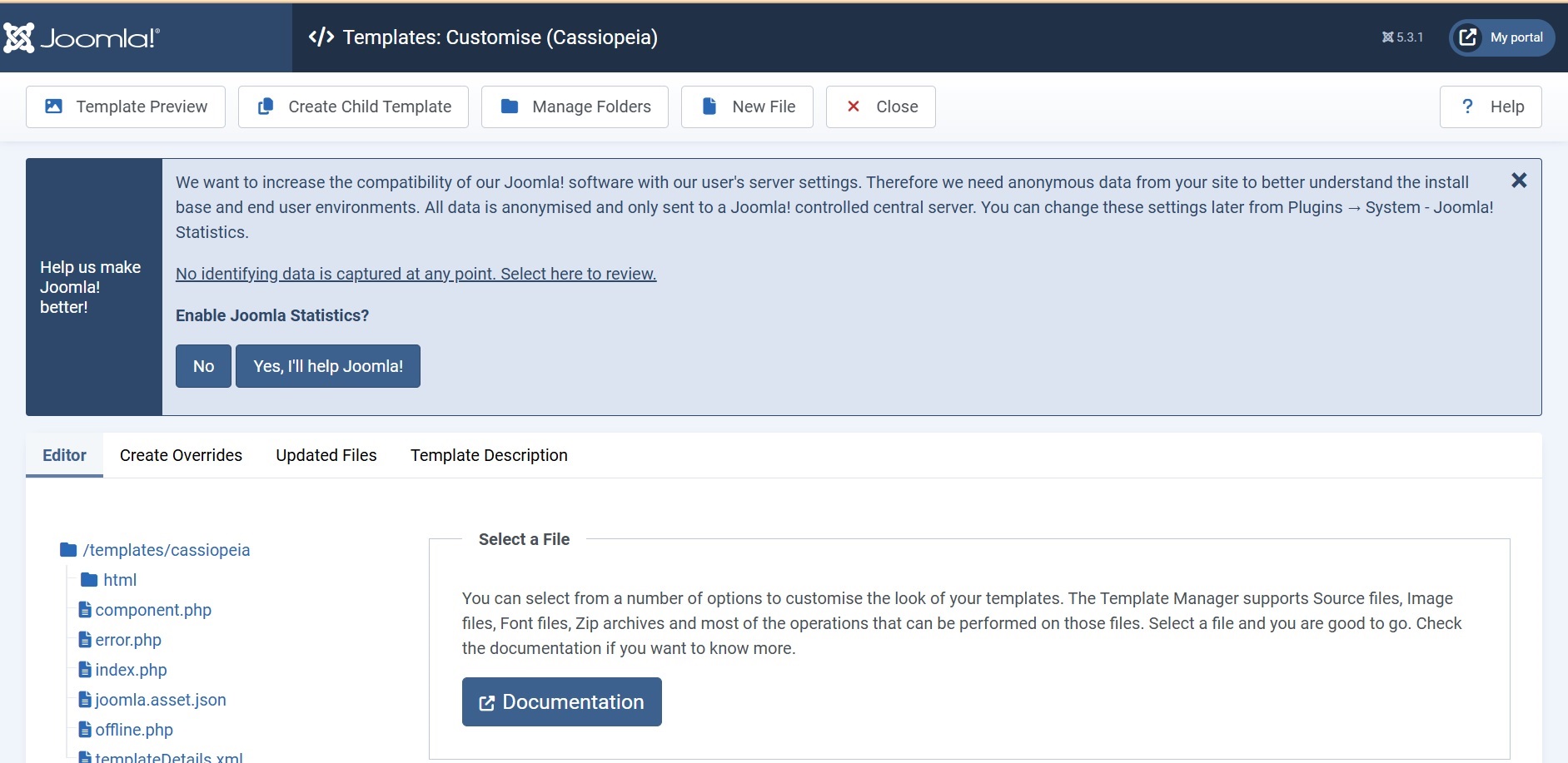 Joomla Template
