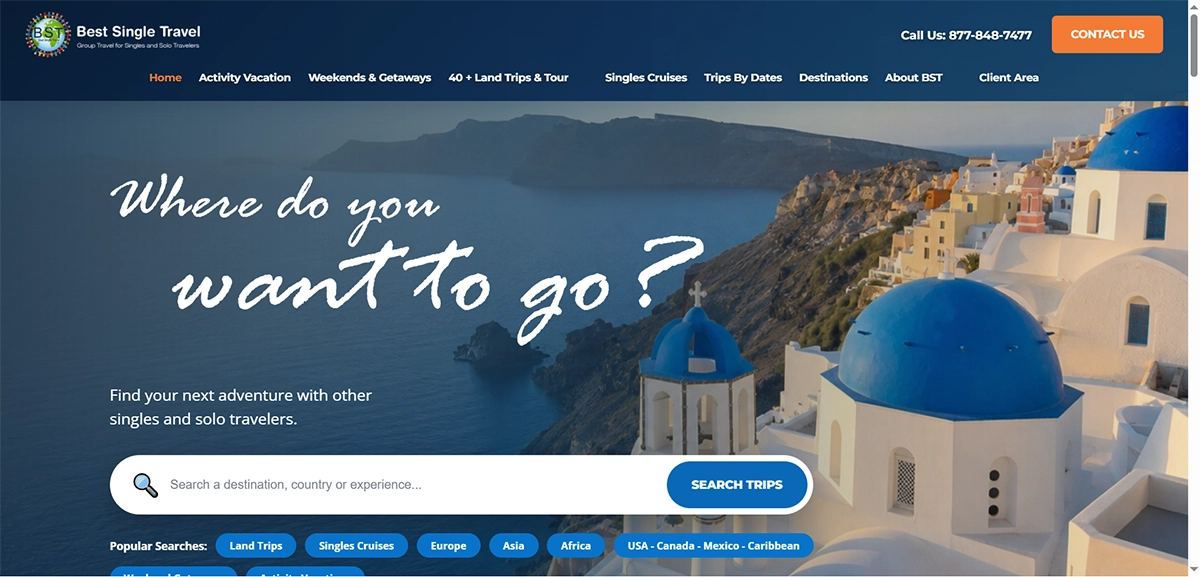 Best Single Travel website project