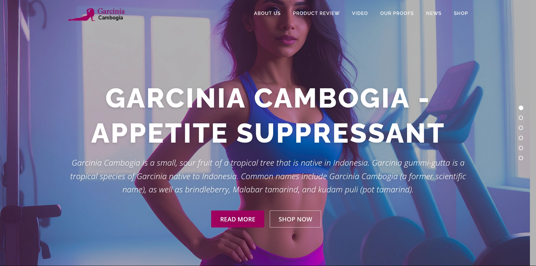 Garcinia Cambogia SEO and customer experience optimization project
